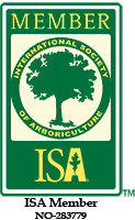 ISA-Member